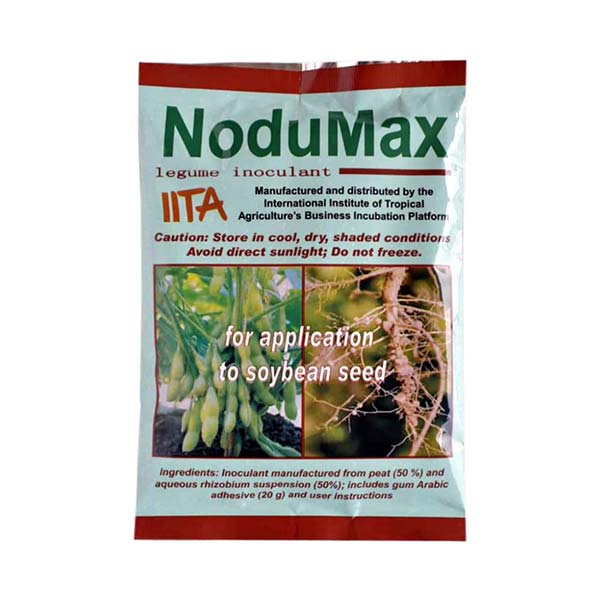 Inoculants for soybeans