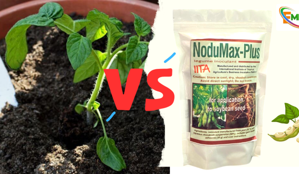 NODUMAX SOYBEAN INOCULANT VS TRADITIONAL FERTILIZER