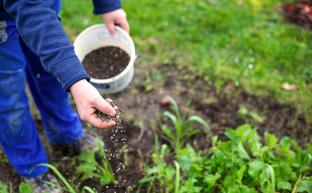 traditional fertilizer comparing to soybean inoculant